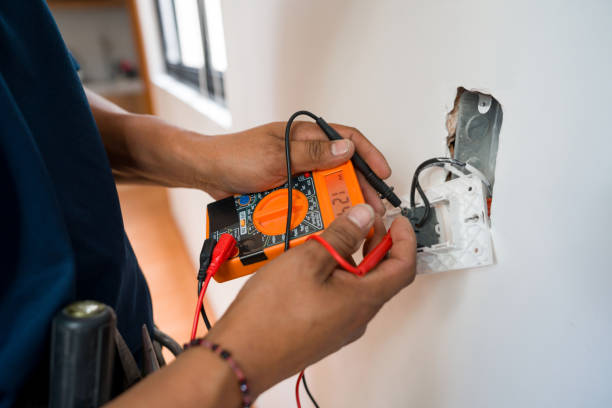 Best Electrical System Inspection  in Pioche, NV