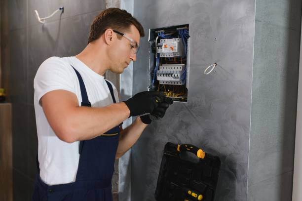 Best Local Electrician Companies  in Pioche, NV