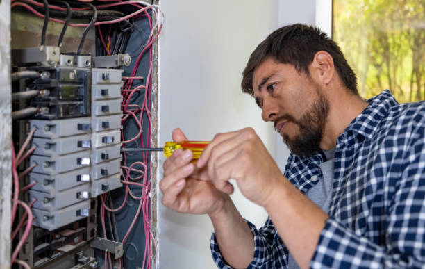 Best Licensed Electrician  in Pioche, NV